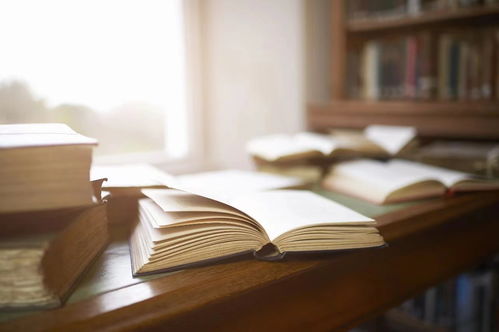 江蘇一周 踏春提速，向春而行——軟件開發行業春意盎然